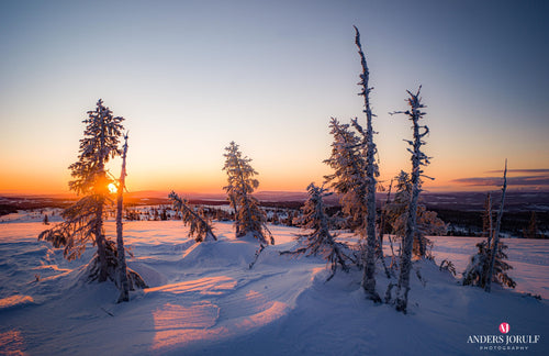Jämtlands fjällvärld – Fine Art Print 70 × 100 cm av Anders Jorulf