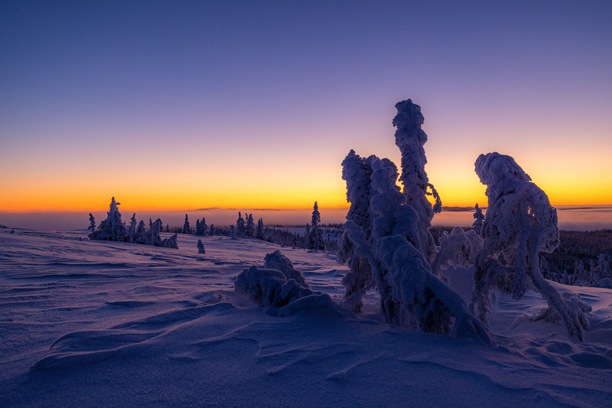 Jämtland, Sweden – Fine Art Print 70 × 100 cm av Anders Jorulf