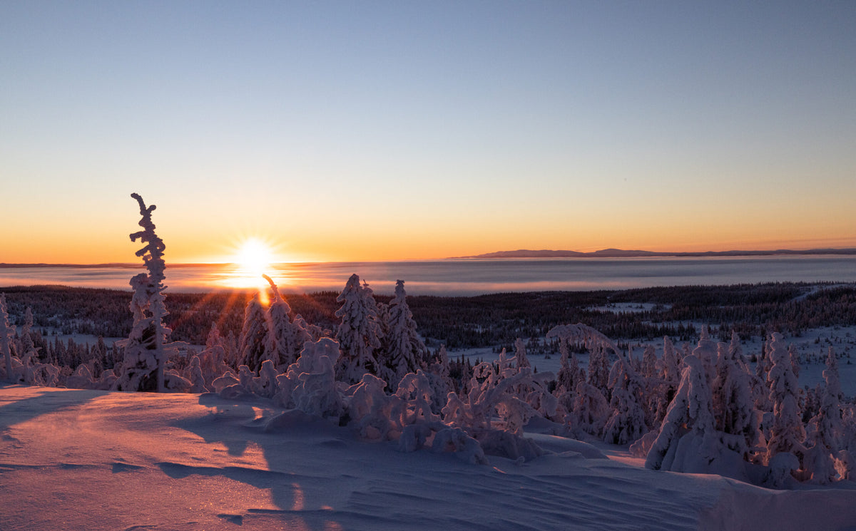 Jämtland, Sweden – Fine Art Print 70 × 100 cm av Anders Jorulf