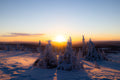 Jämtland, Sweden – Fine Art Print 70 × 100 cm av Anders Jorulf
