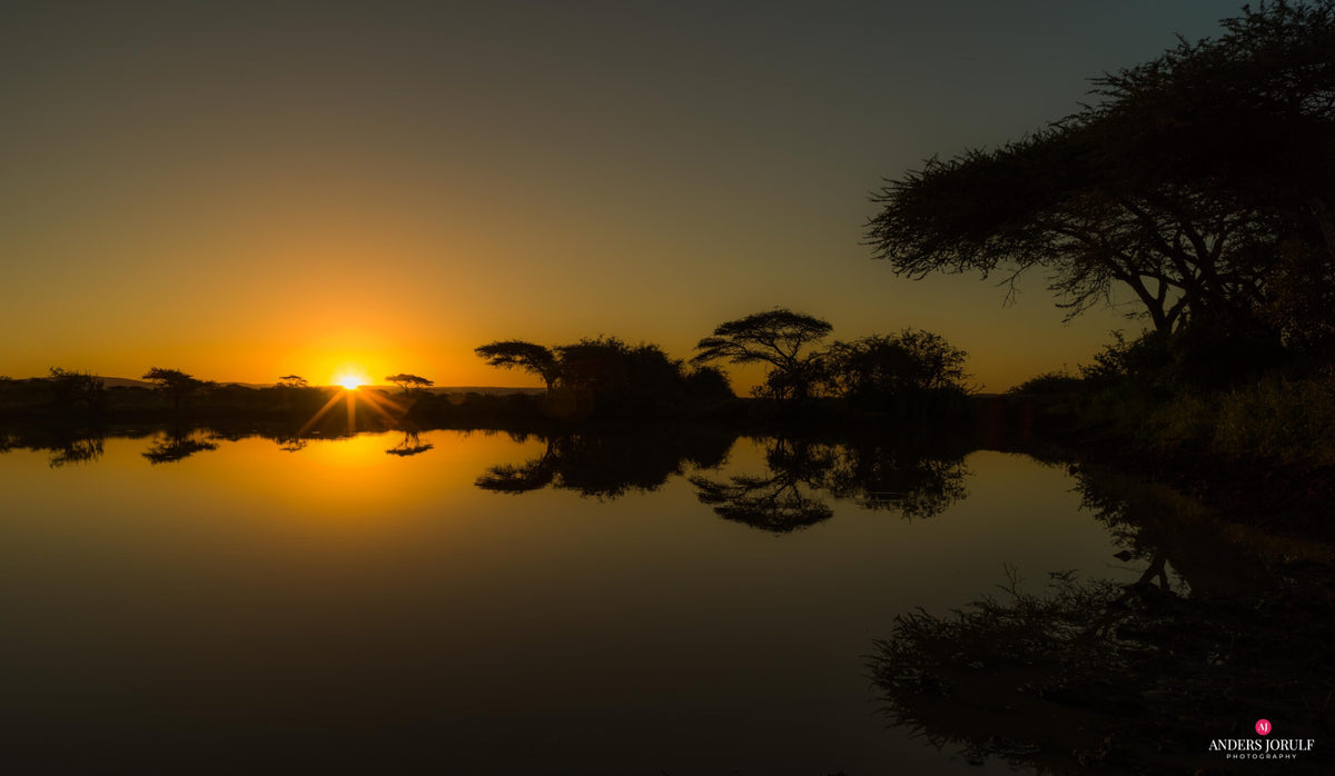 Thanda, South Africa – Fine Art Print 70 × 100 cm av Anders Jorulf